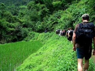  Caminhe nas excursões verdes 